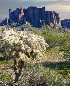 Lost Dutchman Sp Az