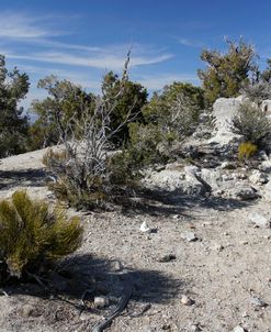 Desert View Point 1