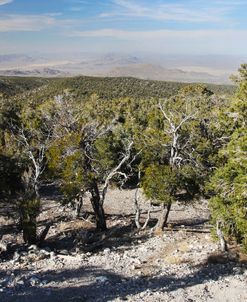 Desert View Point 3