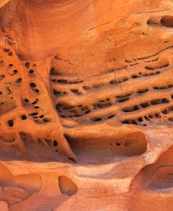Valley Of Fire Detail