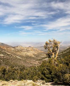Wheeler Pass 1