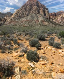 Near Pahrump Vertical
