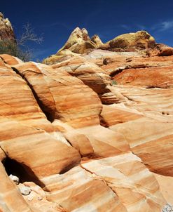 Valley Of Fire 1