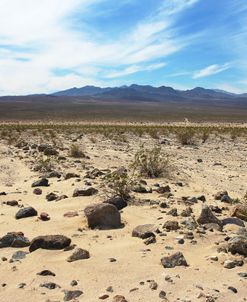 Death Valley Detail