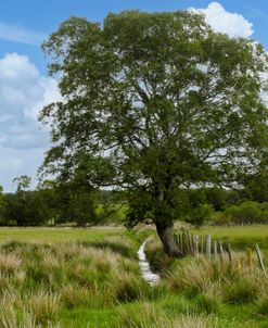 Troutbeck UK