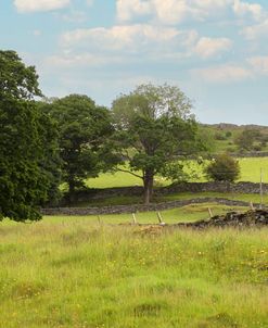 Staveley UK
