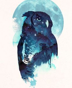 Midnight Owl