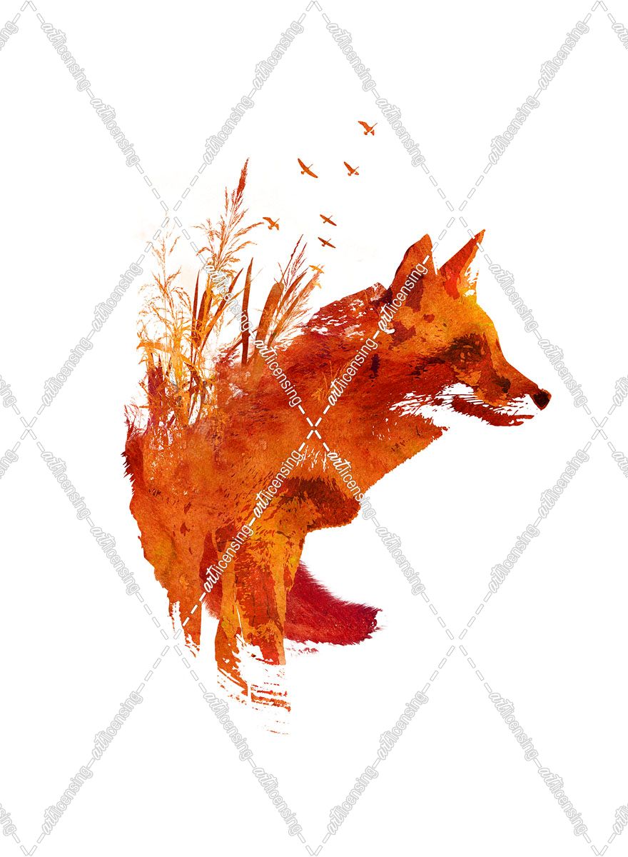 Plattensee Fox