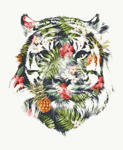 Tropical Tiger