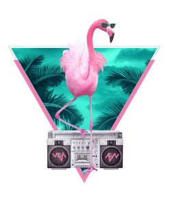 Miami Flamingo