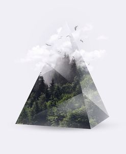 Forest Triangle