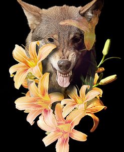 Wolfish Flowers