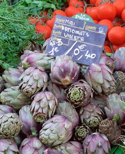 Artichokes for Sale