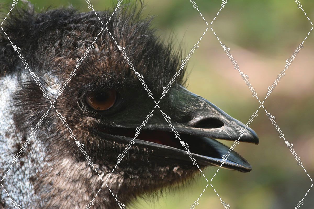 Emu Az17 1