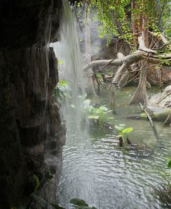 Waterfall Brz15