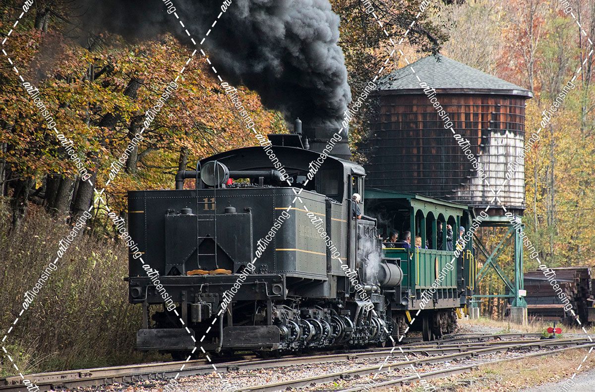 Cass Scenic Railroad 17 1