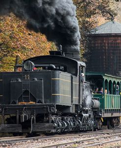 Cass Scenic Railroad 17 1