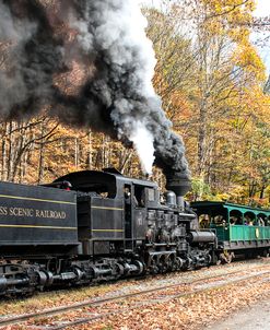 Cass Scenic Railroad 17 2