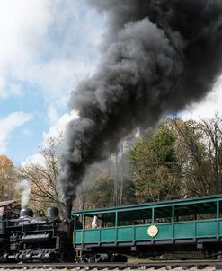 Cass Scenic Railroad 17 3