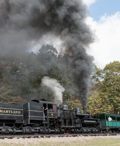 Cass Scenic Railroad 17 4