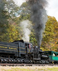 Cass Scenic Railroad 17 5