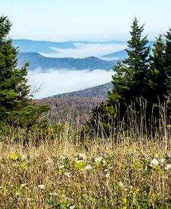 Mountains inversion WVA 17 2