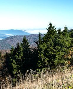 Mountains inversion WVA 17 3