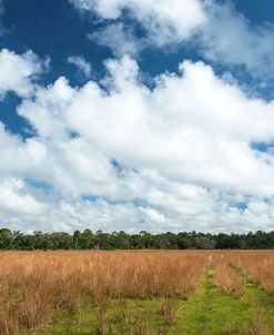Inland Florida
