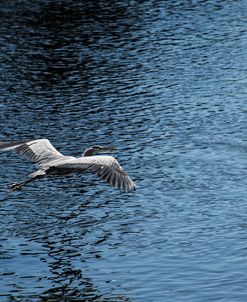 Heron Flight MI 17