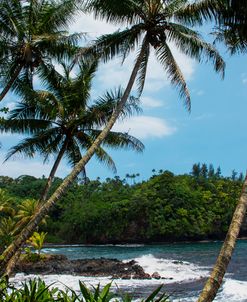 Hawaiian Coast