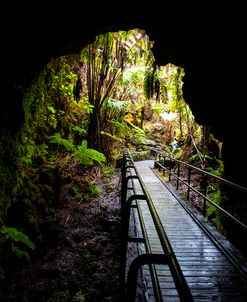 Lava Tube