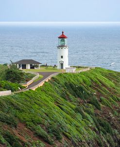 Kilauea Lighthouse 3