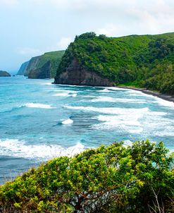 Pololu Coast