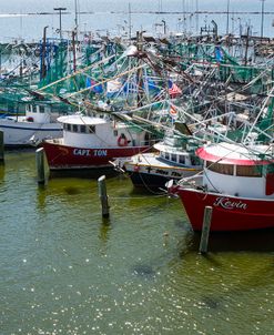 Fishing fleet Biloxi Harbor