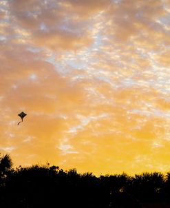 Lonesome kite