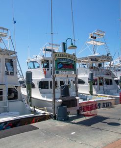 Sport Fishing Boats Destin