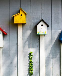 Bird houses 8-18