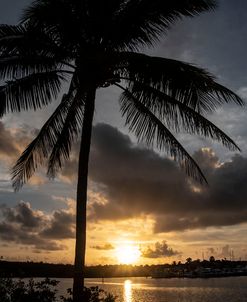 Black Point Sunrise