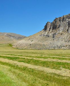 Along US 93 South of Salmon ID 2