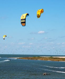 kite surfers