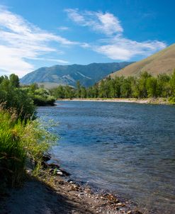 Salmon River at North Fork