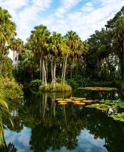 Tropical Lagoon 2