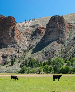 US 93 North Fork ID