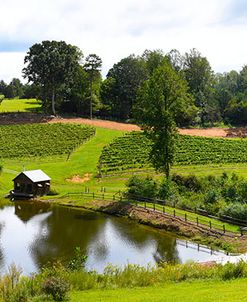 Winery Panorama1