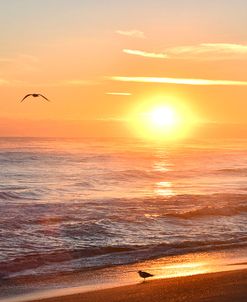 Sunrise Playalinda Beach 2