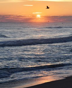 Sunrise Playalinda Beach