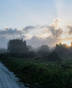 Daybreak Pelican Island 2