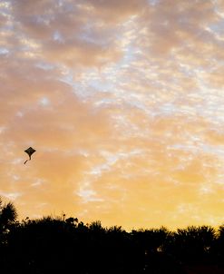 Lonesome Kite