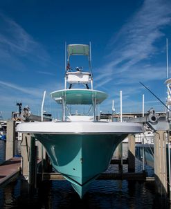 Sport Fishing Boat on Hoist