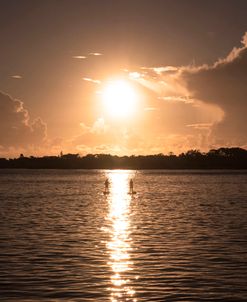 Sunrise Paddleboards